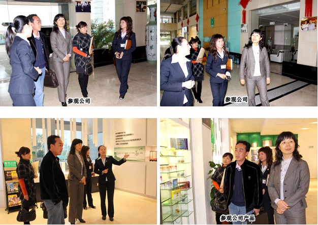 政协湖南省长沙市委员会副主席段安娜一行调研安博官网