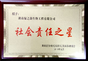 安博官网董事常务副总经理劳嘉获“社会责任之星”称号