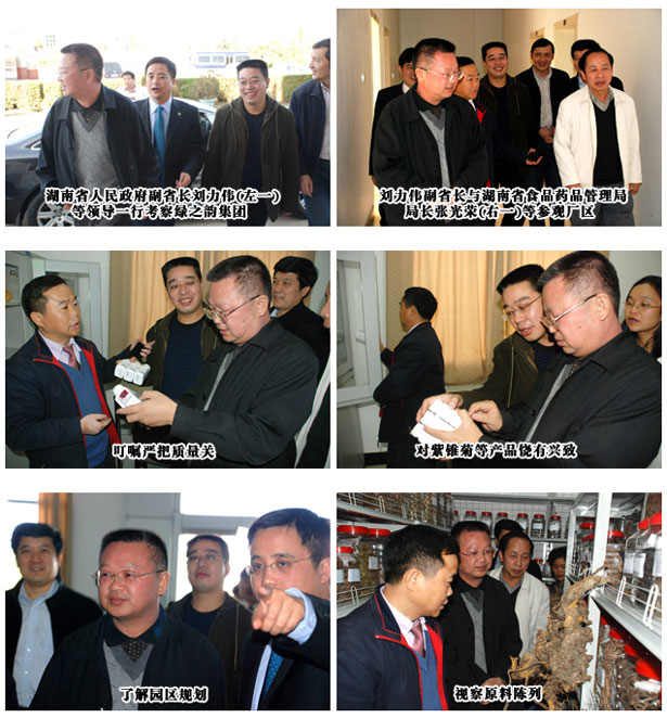 湖南省人民政府副省长刘力伟一行考察安博官网