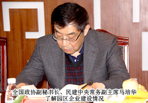 全国政协副秘书长、民建中央常务副主席马培华一行莅临安博官网考察