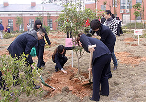 安博官网开展3•12植树活动
