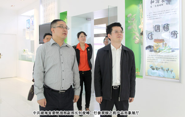 中共湖南省委统战部副部长何俊峰一行莅临安博官网考察调研