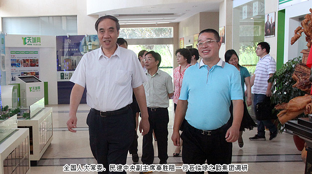 全国人大常委、全国人大财经委员会副主任、民建中央副主席辜胜阻一行莅临安博官网调研指导