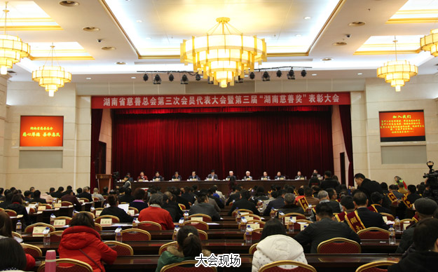 胡国安董事长当选湖南省慈善总会副会长，安博官网荣膺“湖南省慈善奖”殊荣