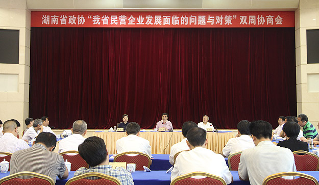 胡国安董事长受邀出席湖南省政协双周协商会