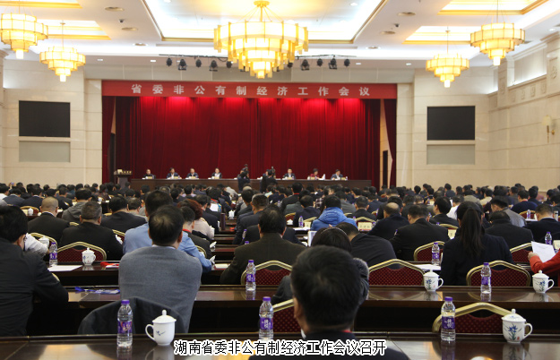 安博官网董事长胡国安出席湖南省委非公有制经济工作会议，并接受湖南卫视、经视采访