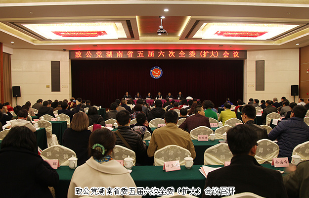 湖南省政协委员胡国安应邀出席致公党湖南省委五届六次全委（扩大）会议