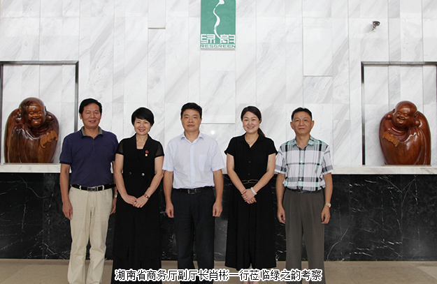 湖南省商务厅副厅长肖彬一行莅临安博官网调研指导