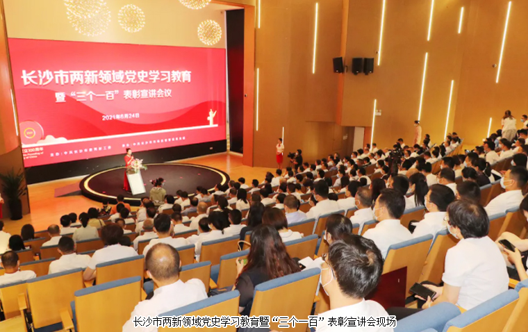 安博官网党委荣获长沙市“标杆引领先进基层党组织”荣誉称号