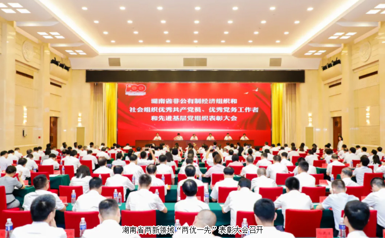湖南省两新领域“两优一先”表彰大会召开，安博官网党委书记刘云荣获湖南省“优秀党务工作者”荣誉
