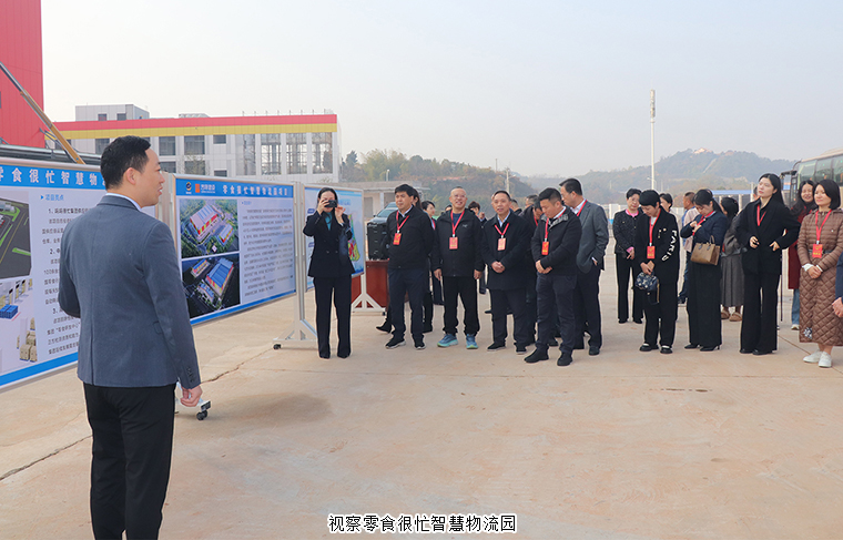 胡国安代表参加全国、省、市人大代表两会前集中视察活动，聚焦产业发展与历史文化保护